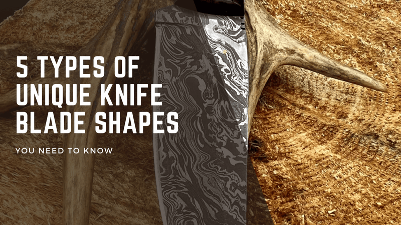 5 Types of Unique Knife Blade Shapes You Need to Know About